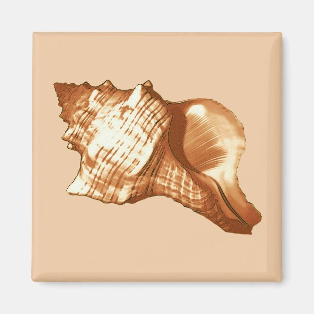 Imán Esbozo de concha de concha - marrón, blanco y tost (Frente)