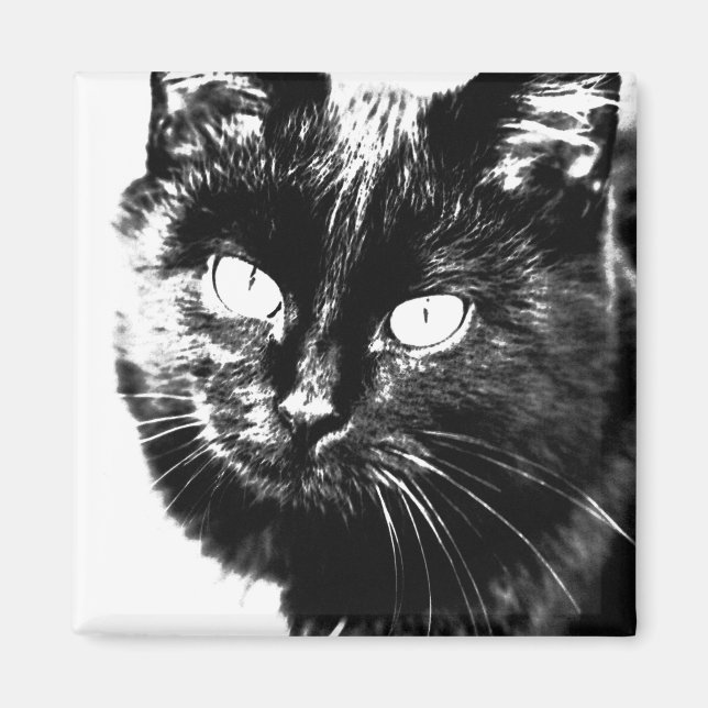 Imán Esbozo de gatitos de gato negro y funky (Frente)