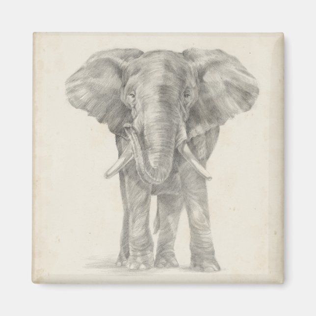 Imán Esbozo elefante (Frente)