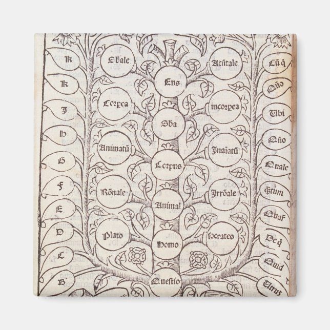 Imán Escala celeste (Frente)