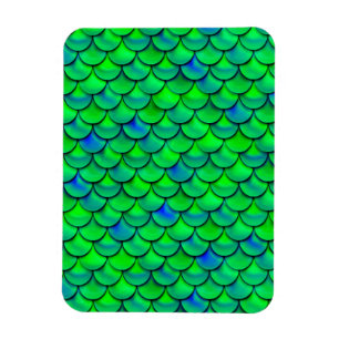 Imán Escalas azules verdes caídas
