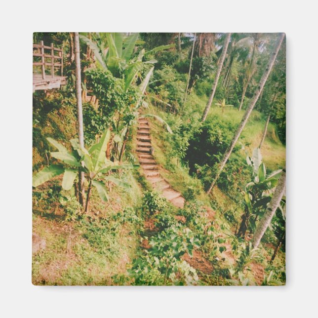 Imán Escalera de bosques lluviosos de Bali (Frente)