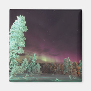 Imán Escandinavia, Finlandia, Laponia, Kakslauttanen,