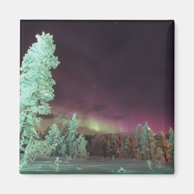 Imán Escandinavia, Finlandia, Laponia, Kakslauttanen, (Frente)