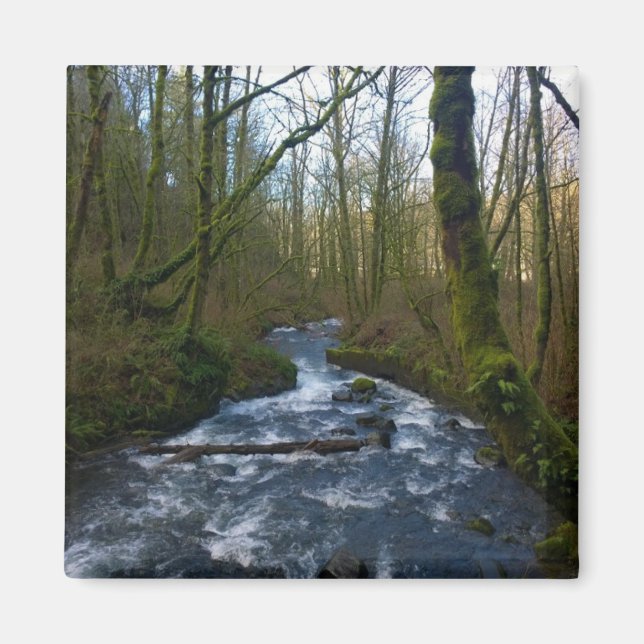 Imán Escapada de las cataratas del velo de novias, Oreg (Frente)