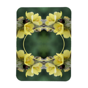 Imán Escarabajo En Flor Silvestre Mullein Añade Tu Foto