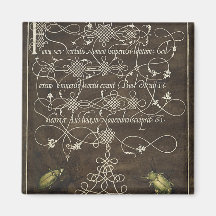 Escarabajo y Scarab de Mira Calligraphiae