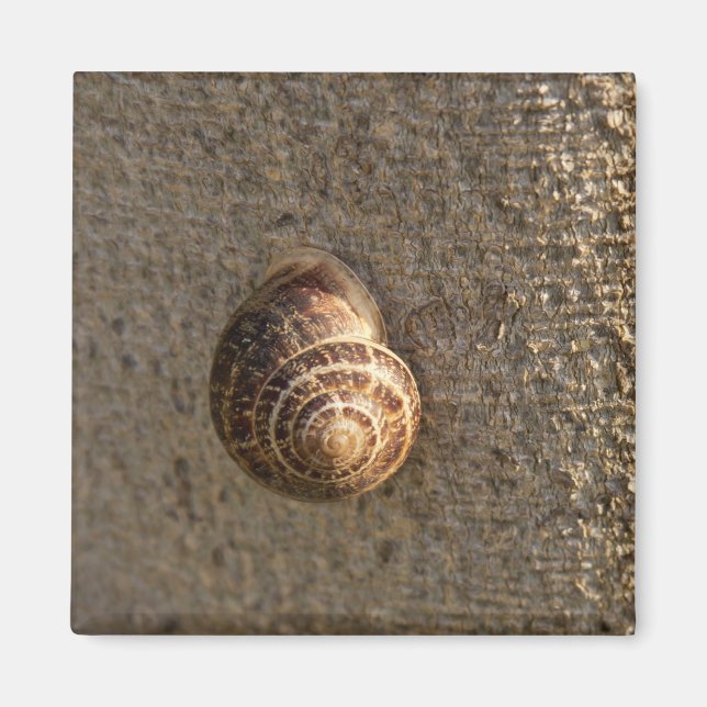 Imán Escarnio (Frente)