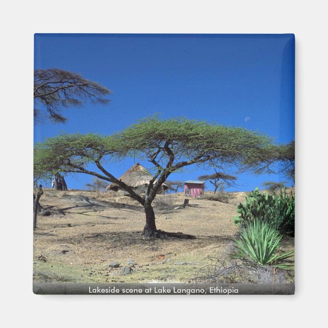 Imán Escena a orillas del lago Langano, Etiopía (Frente)