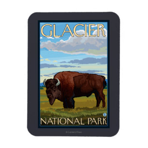 Imán Escena de Bison - Parque Nacional Glacier, MT