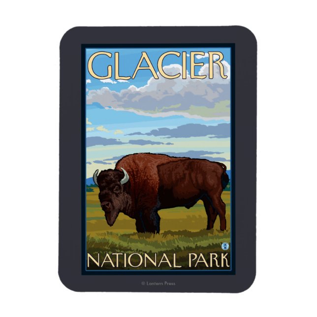 Imán Escena de Bison - Parque Nacional Glacier, MT (Vertical)