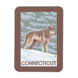 Imán Escena de ConnecticutWolf