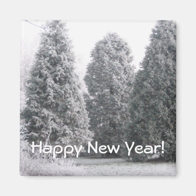 Imán Escena de invierno (Frente)