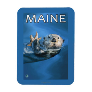 Imán Escena de la nutria de MaineSea