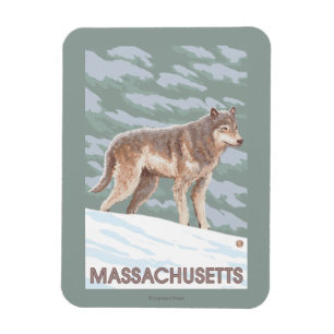 Imán Escena de MassachusettsWolf