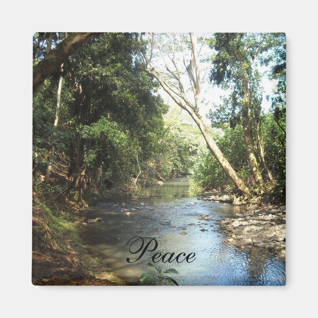 Imán Escena de naturaleza en paz (Frente)
