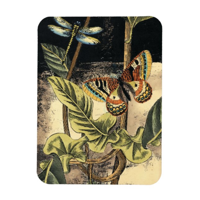 Imán Escena de naturaleza oscura de Vision Studio (Vertical)