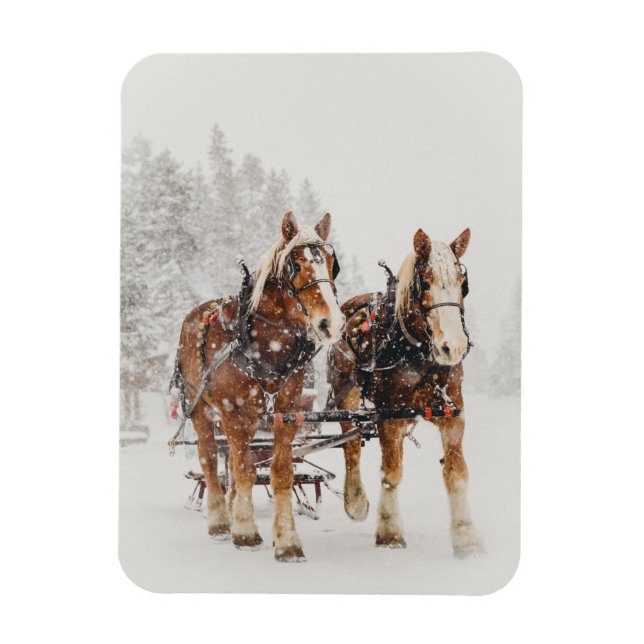 Imán Escena de Navidades de Wintery de la selección bel (Vertical)