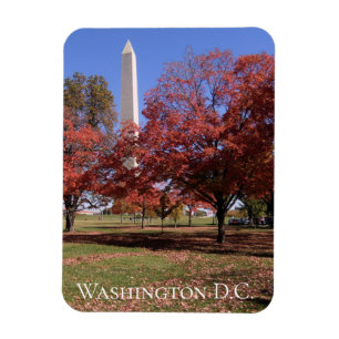 Imán Escena de otoño en Washington D.C. Souvenir