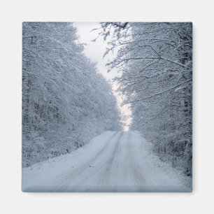 Imán Escena del árbol de ruta de invierno de bonito