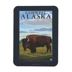 Imán Escena del bisonte - Fairwell, Alaska
