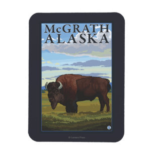 Imán Escena del bisonte - McGrath, Alaska