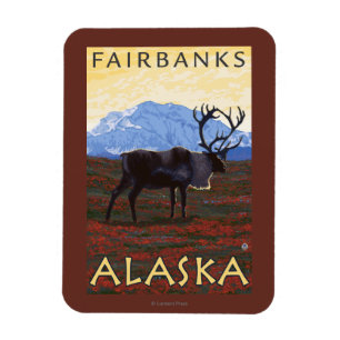 Imán Escena del caribú - Fairbanks, Alaska