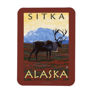 Imán Escena del caribú - Sitka, Alaska
