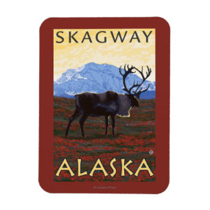 Imán Escena del caribú - Skagway, Alaska