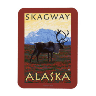 Imán Escena del caribú - Skagway, Alaska