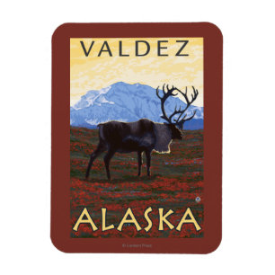 Imán Escena del caribú - Valdez, Alaska
