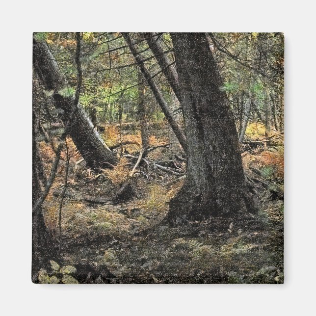 Imán Escena forestal de otoño (Frente)