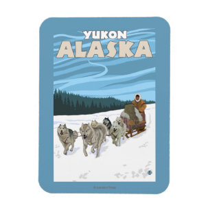 Imán Escena Sledding del perro - el Yukón, Alaska