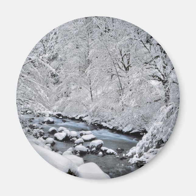 Imán Escenario de creek blanco nevado, Oregón (Frente)