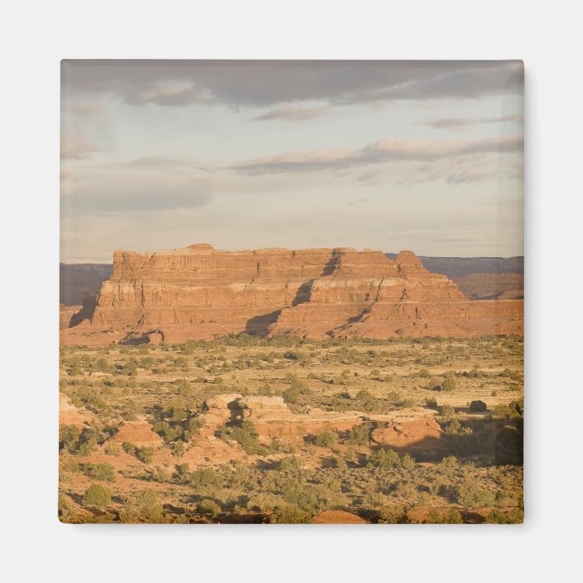 Imán Escenario paisaje de desierto invernal en camino h (Frente)