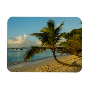 Imán Escénico de playa