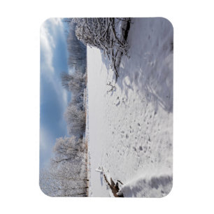 Imán escenografía de invierno a lo largo del estanque y