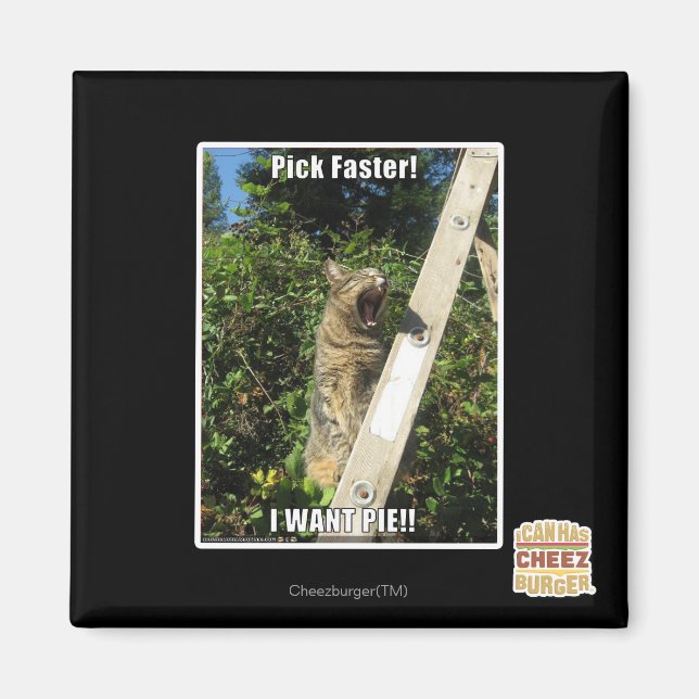 Imán ¡Escoge Más Rápido! (Frente)