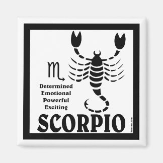 Imán Escorpio Magnet