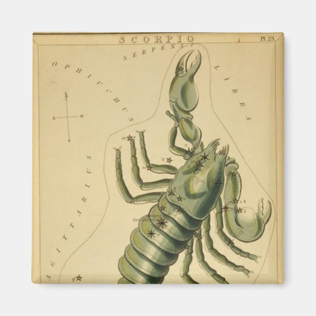 Imán Escorpio Magnet (Frente)