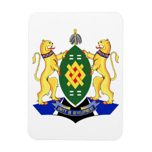 Imán Escudo de armas de Johannesburgo