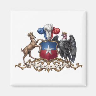 Imán escudo de armas símbolo emblema bandera de Chile p