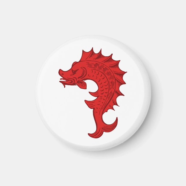 Imán Escudo de Tir-y-Don Magnet (Frente)