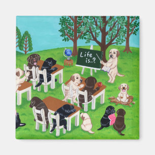 Imán Escuela de Labrador