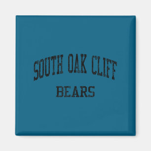 Imán Escuela secundaria South oak cliff hs dallas tx vi