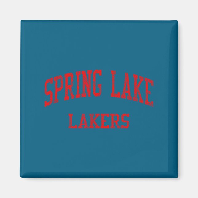 Imán Escuela secundaria spring lake hs spring lake mi v (Frente)