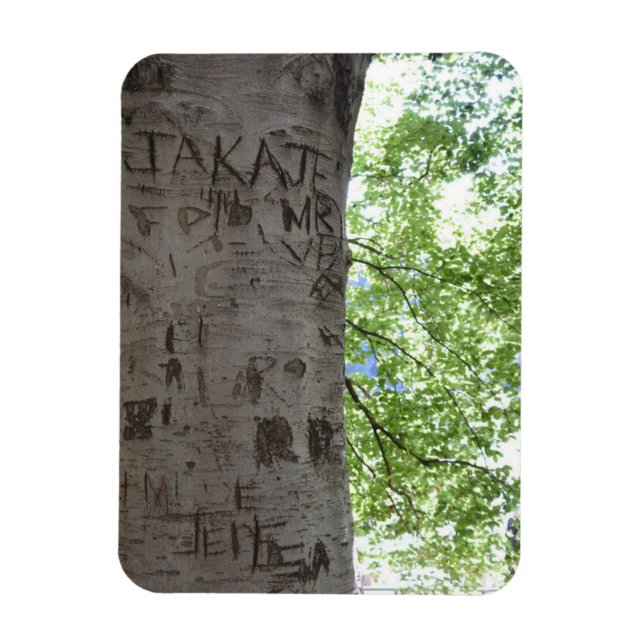 Imán Esculpida en una fotografía de la naturaleza de un (Vertical)