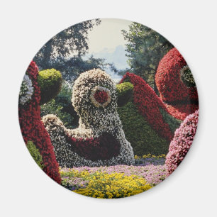 Imán Escultura rosada de la flor, Insel Mainau, flowe
