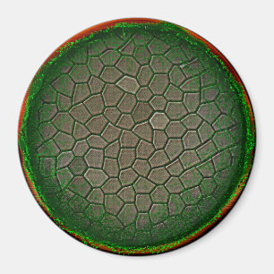 Imán Esfera de la naturaleza