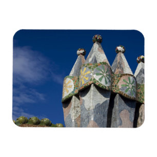Imán España, Cataluña, Barcelona. Casa Batlló (1906).
